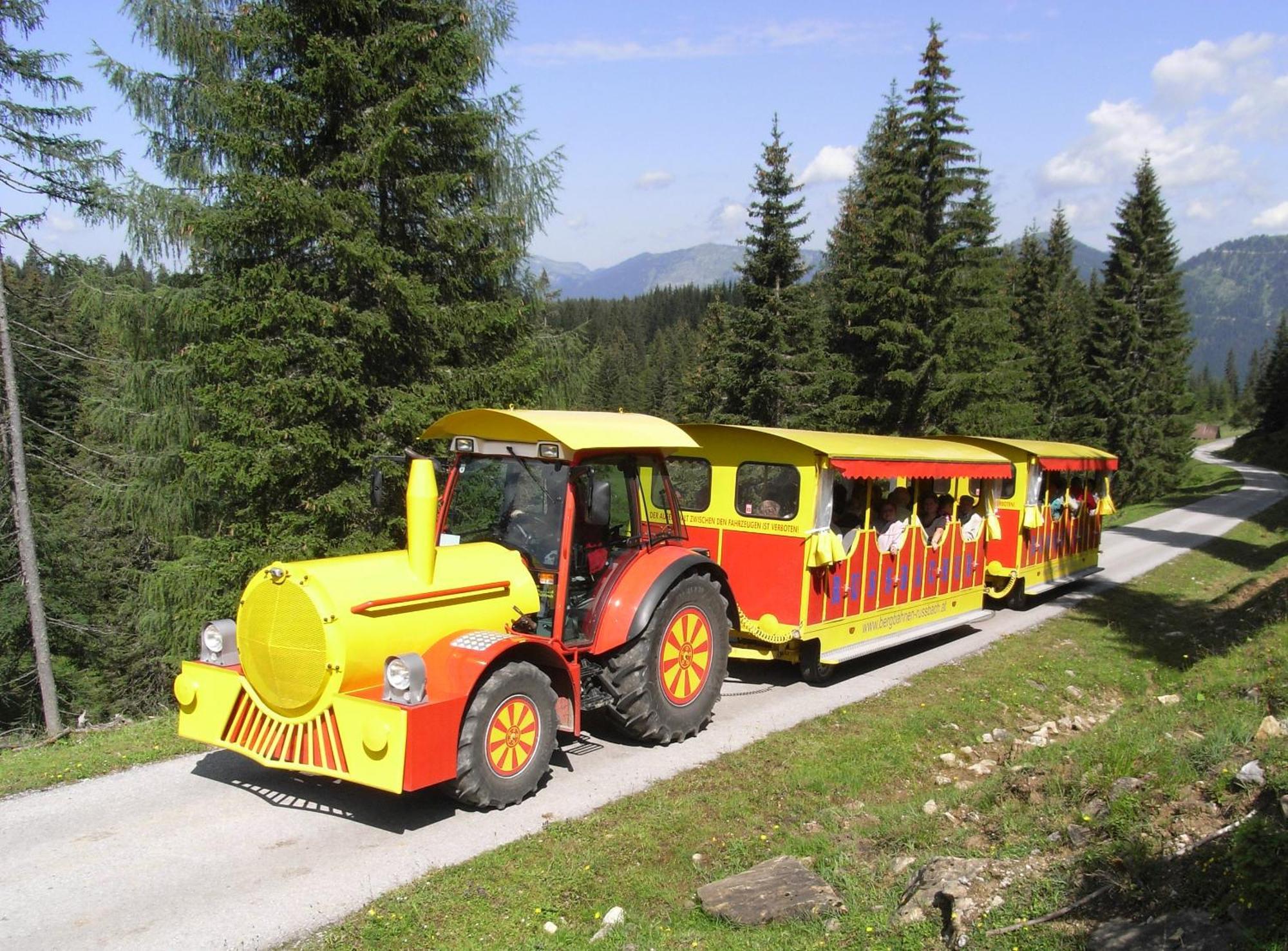 روسباخ أم باس غشوت Dachstein West Hotel Gmbh-Kirchenwirt Russbach المظهر الخارجي الصورة